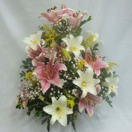 Corbélia de Flores